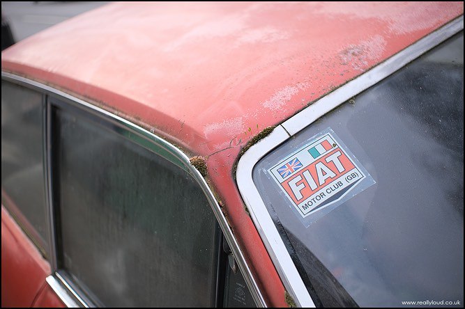 1973 CC Fiat 124 Coupe 1800