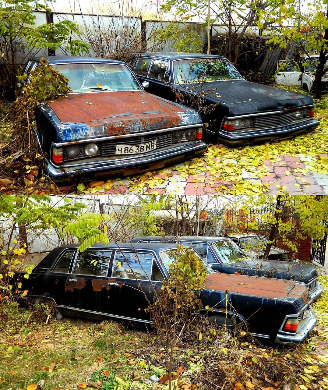 Заброшенные лимузины ГАЗ-14 «Чайка» из Молдовы
