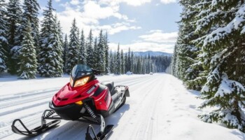 Как выбрать снегоход: практическое руководство без водички